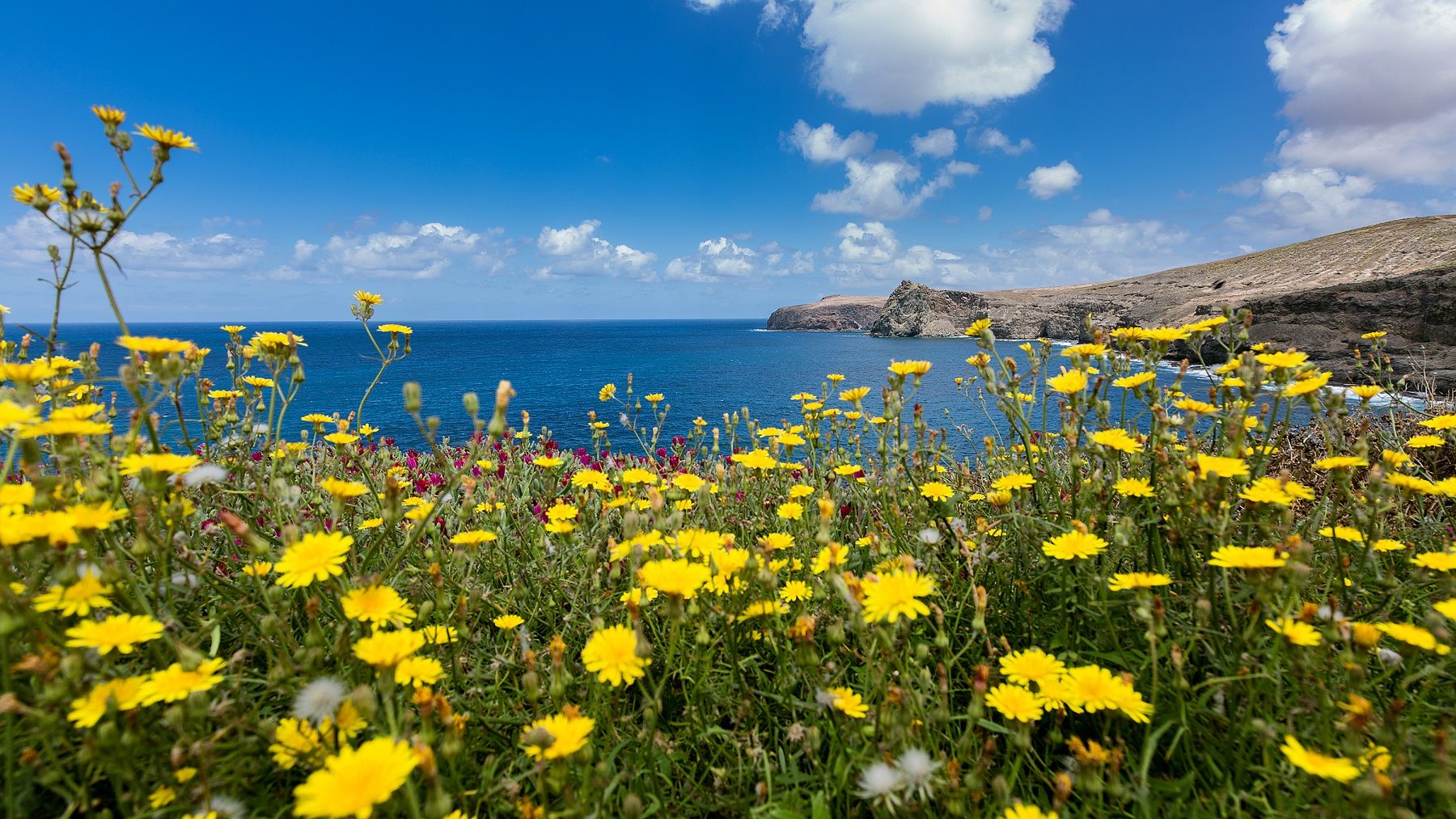 Occidental Roca Negra - Adults Only Otel Agaete  Dış mekan fotoğraf